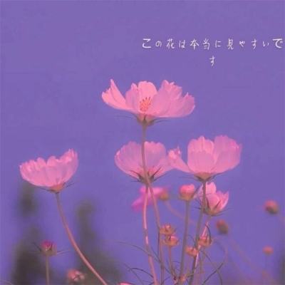 日本全职员工月均工资连续4年创历史新高